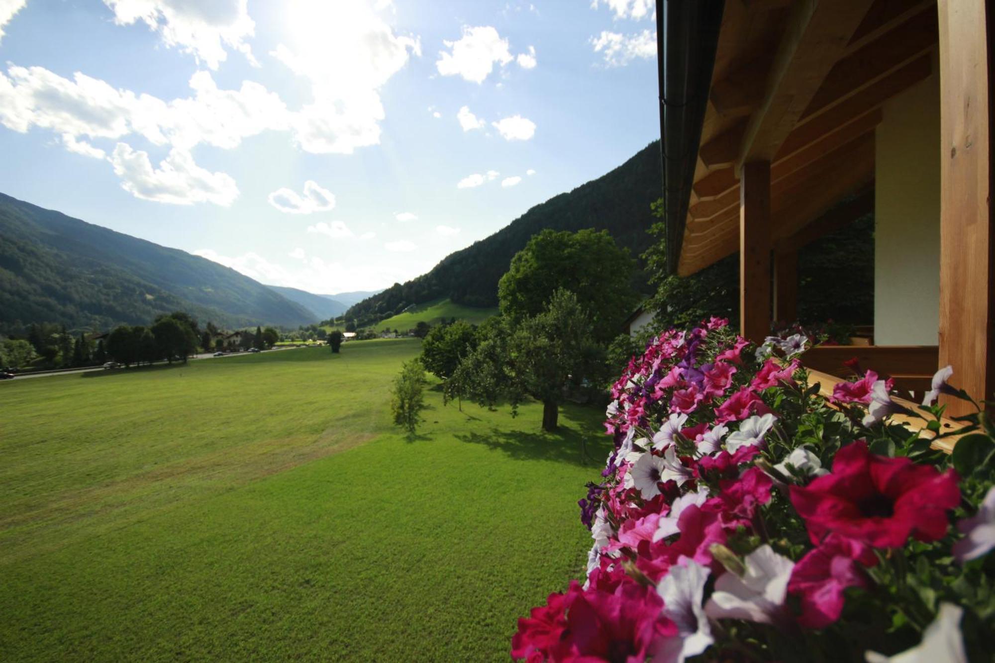 Pitterlehof * Chienes